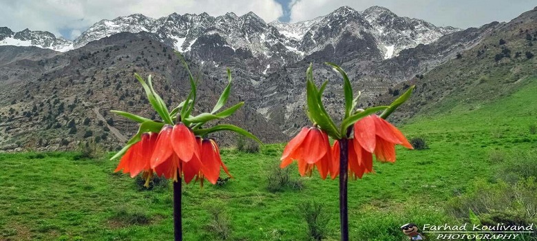 Crown Imperial Lands in Iran