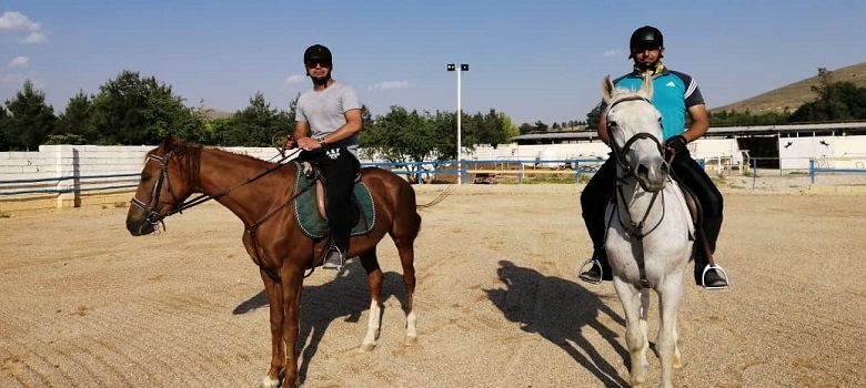 Persian horses, Iranian travel agency