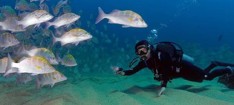 Persian gulf, The Best Scuba Diving Destination