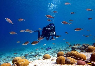 Iran diving tour